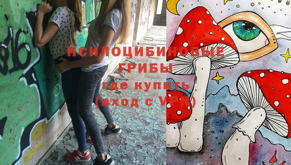 ALPHA PVP Гусиноозёрск