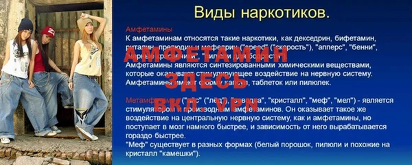 PSILOCYBIN Гусев