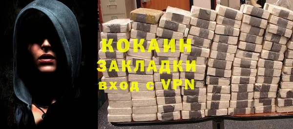 PSILOCYBIN Гусев
