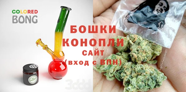 PSILOCYBIN Гусев
