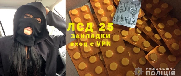 PSILOCYBIN Гусев