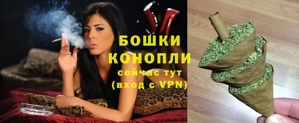 PSILOCYBIN Гусев