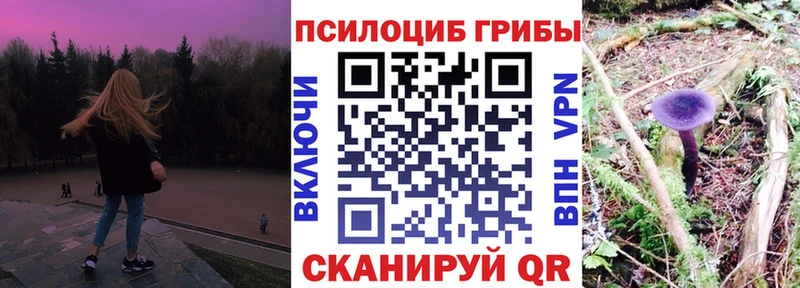 Купить закладки  Белоусово  Псилоцибиновые грибы GOLDEN TEACHER 
