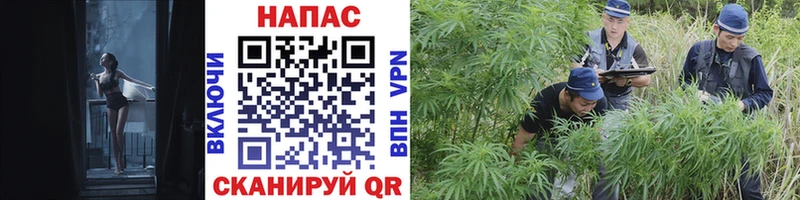 Купить  Белоусово  Каннабис THC 21% 